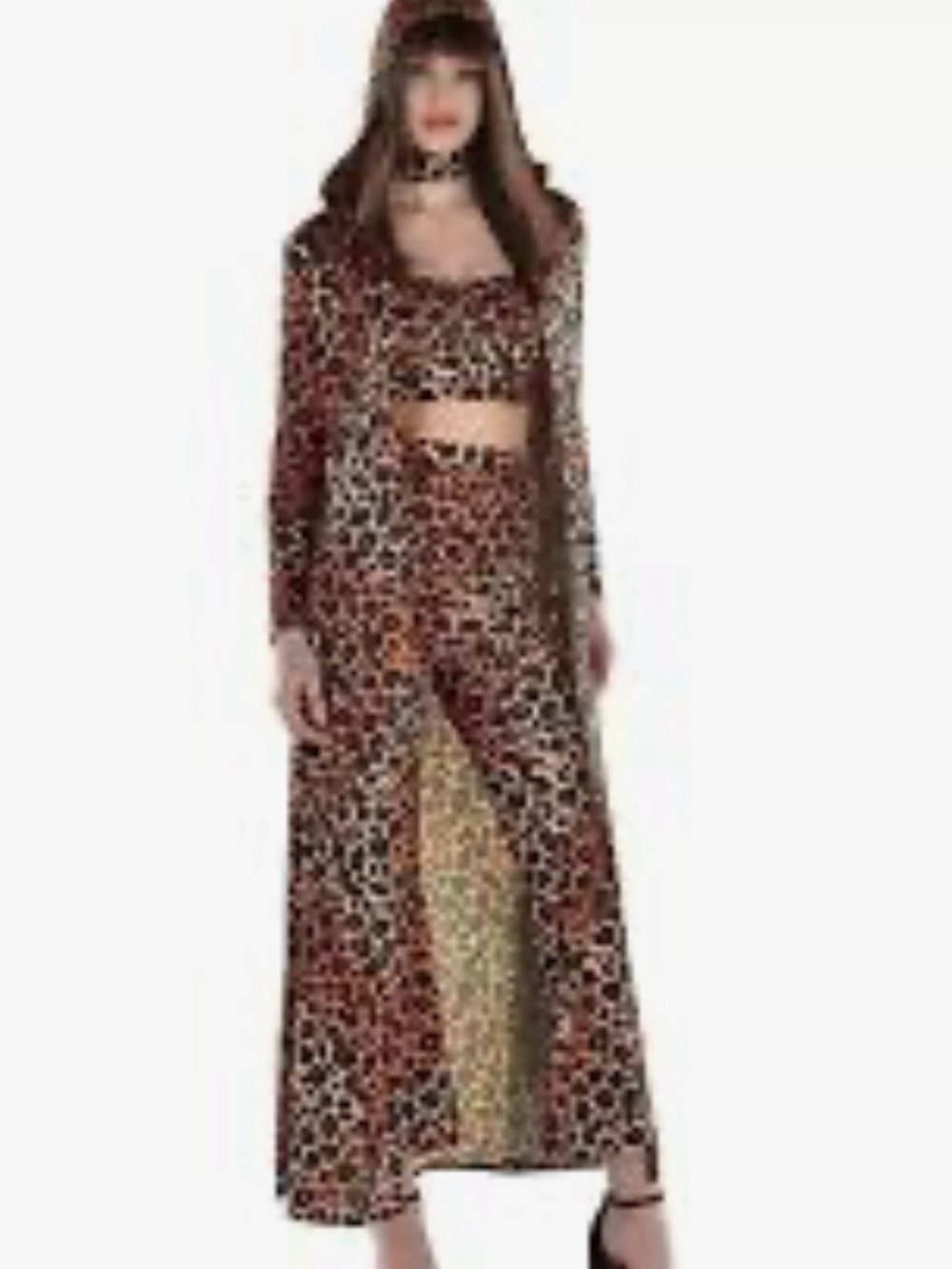 Shania Twain Halloween costume - used